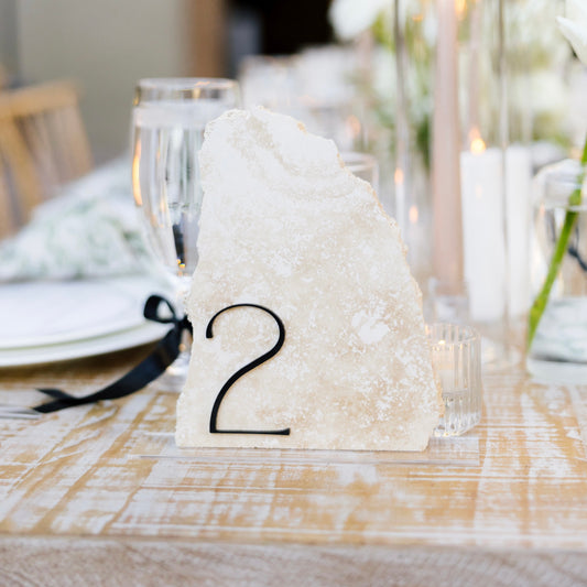 Stone Table Numbers | Standing Table Numbers | Acrylic Numbers | Organic Shapes | 5x7ish | x12